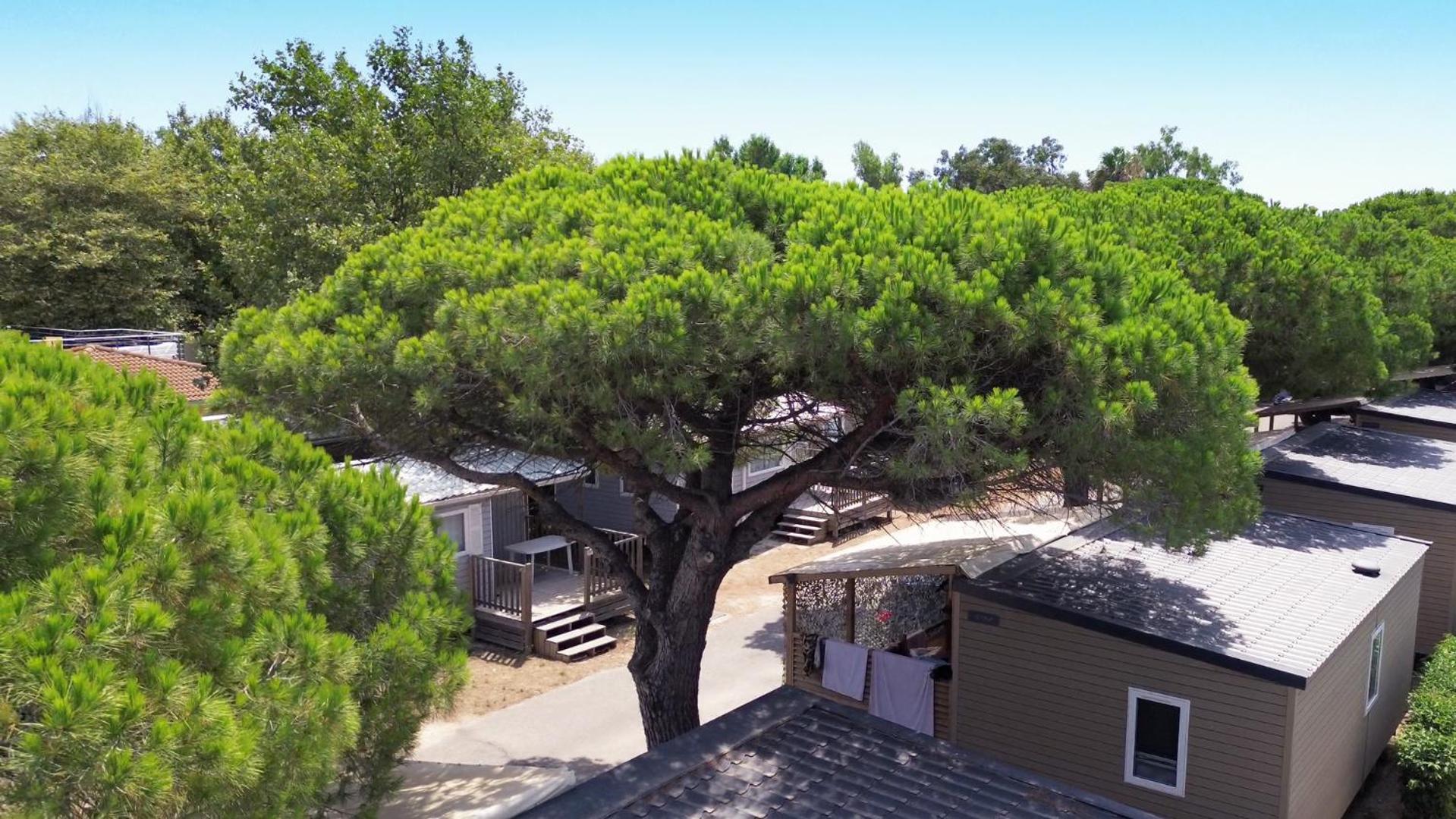 Camping La Bergerie Plage Йер Экстерьер фото